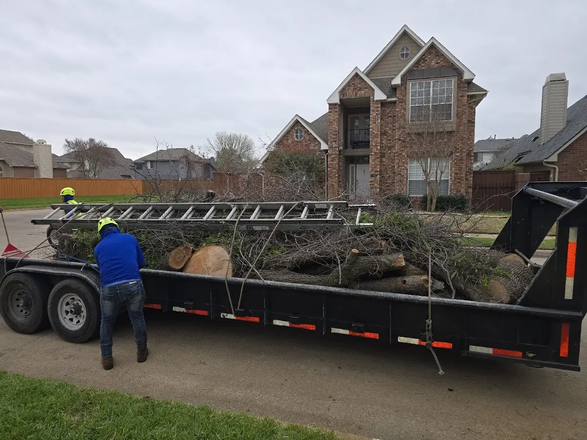 Expert Tree Fertilization with proper safety equipment in Hunters